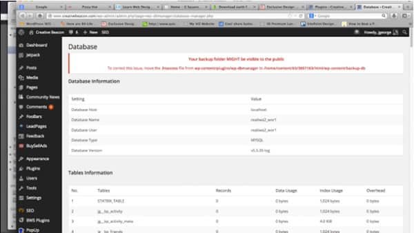 How to Optimize Your WordPress Database