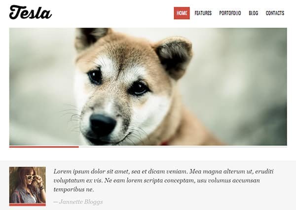 Tesla Free WordPress Theme of the Week