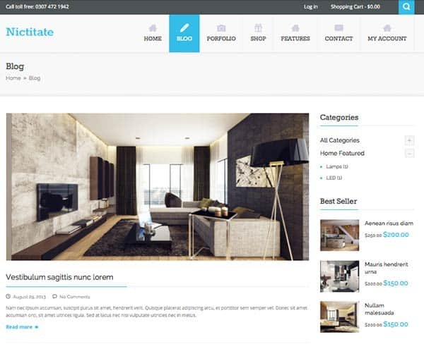 Nictitate Free WordPress Theme