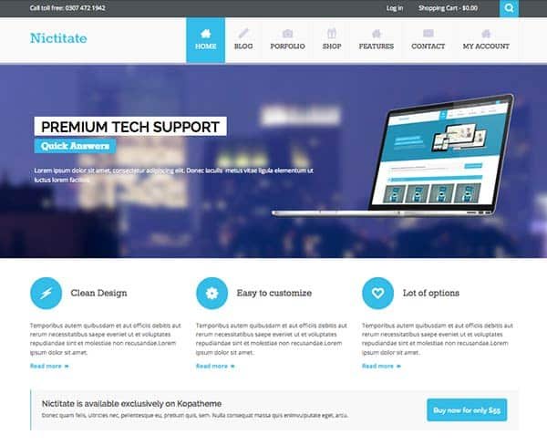 Nictitate Free Wordpress Theme