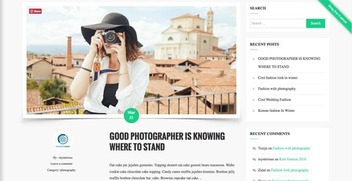 FaceBlog Free WordPress Theme