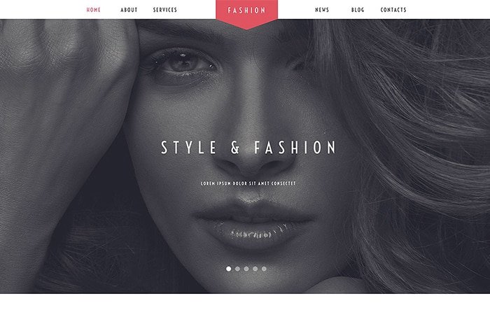 Fashion Stylist WordPress Theme    