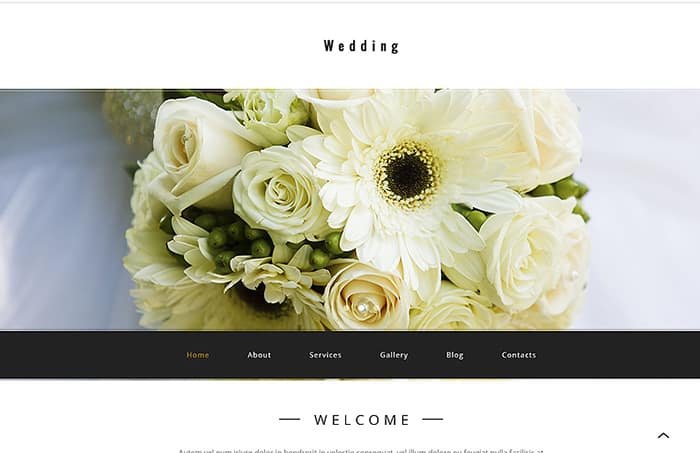 Top 20 Feminine WordPress Themes Spring 2017